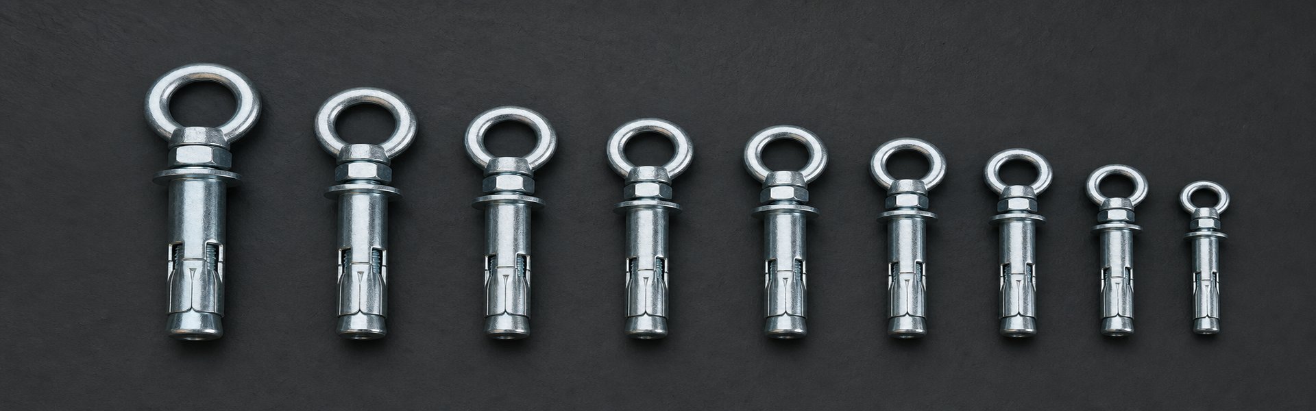Eye Bolt Shield Anchor - Duchy Fasteners UK