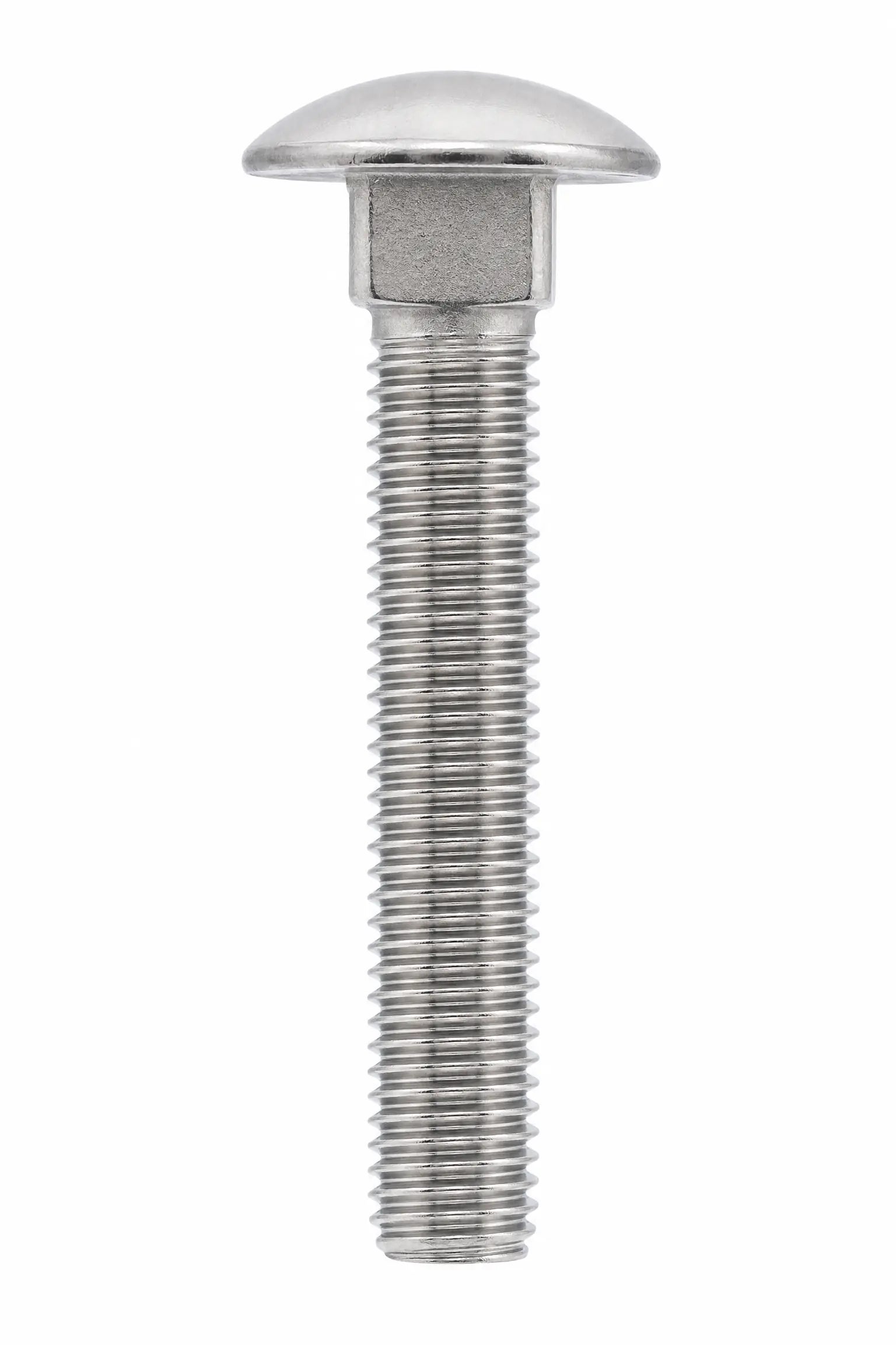 Cup Square Bolts Carriage Stainless Steel DIN 603 A4