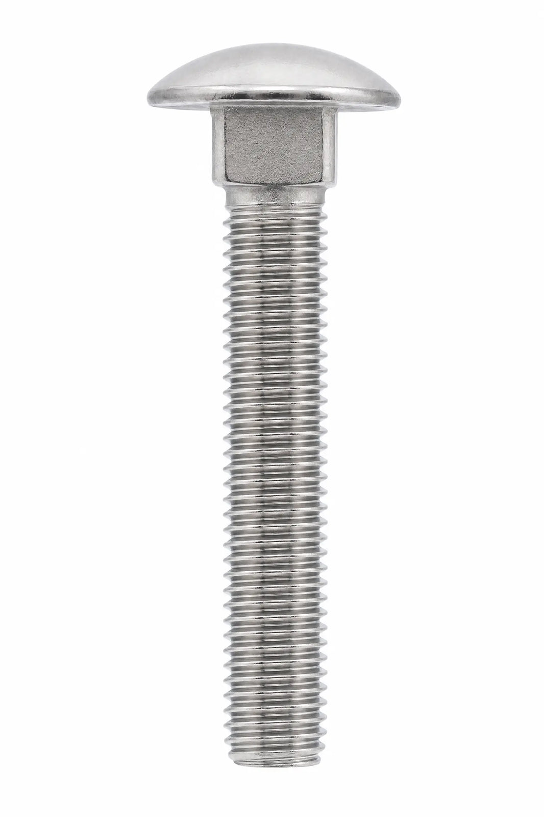 Cup Square Bolts Carriage Stainless Steel DIN 603 A4