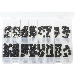 ASSTD SOCKET SETSCREWS SELF COLOUR M4-M10 (250) - Duchy Fasteners