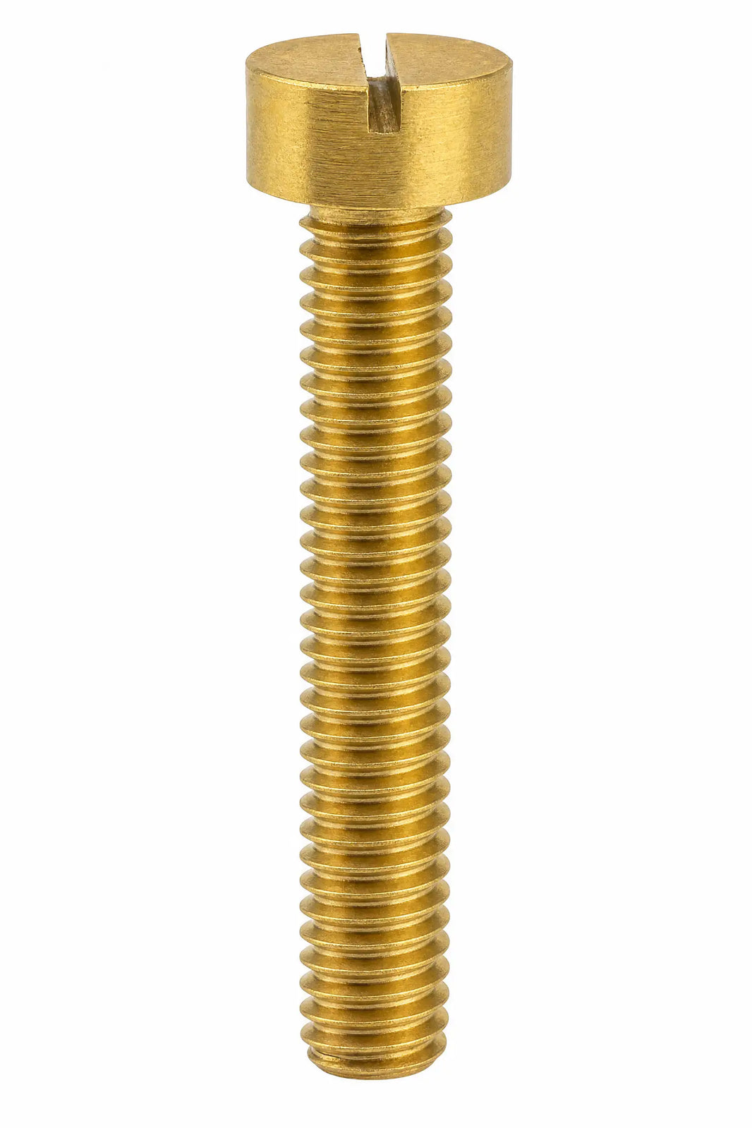 Slotted Brass Cheese Head Machine Screw DIN 84