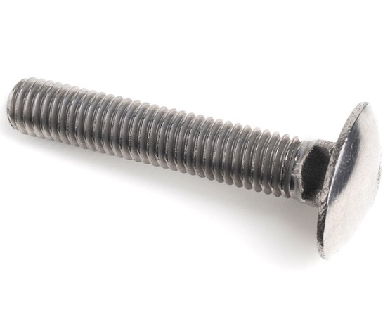 M12 x 260 - Cup Square DIN 603 304 Ss A2 - Duchy Fasteners