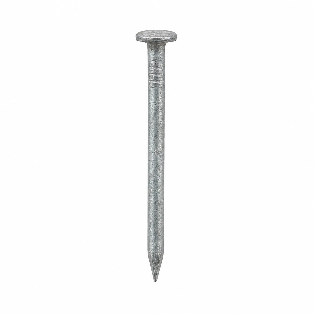 Galvanised Round Wire Nails